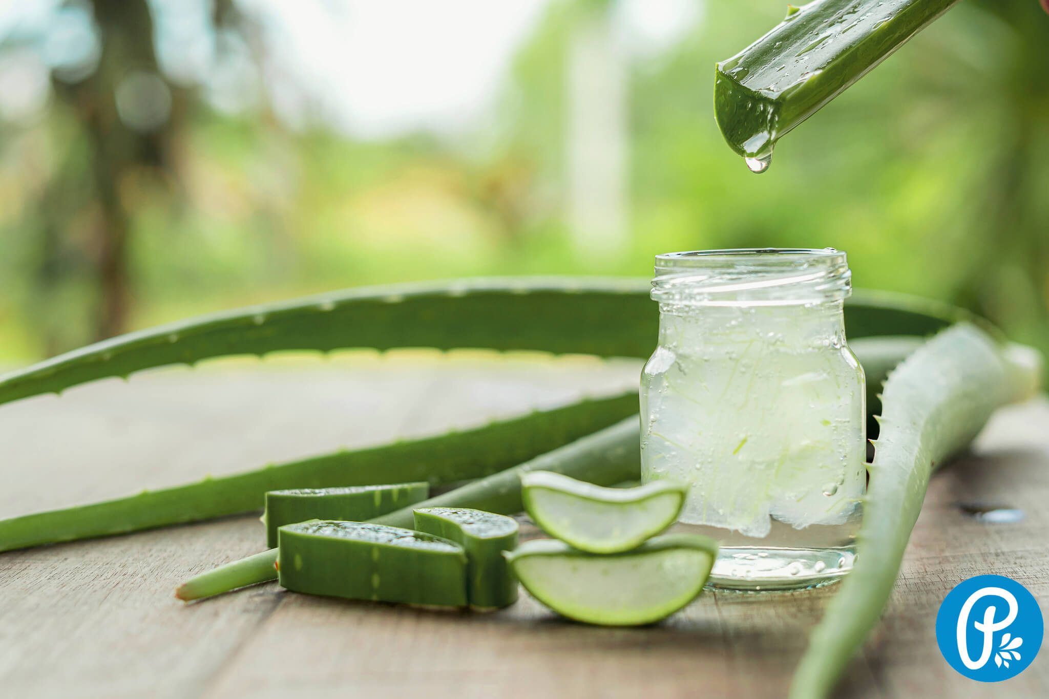 Aloe vera v přírodní kosmetice Panakeia